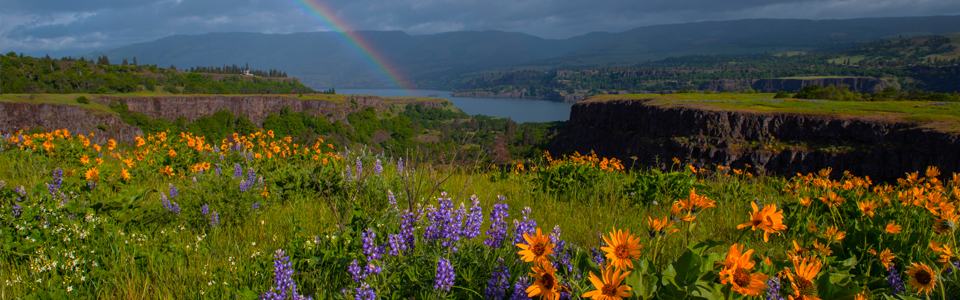Hood_Gorge_Regions_The_Dalles_02
